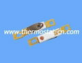 AMT thermal protector, AMT thermoswitch 2