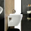 WALL HUNG TOILET WC SOFT CLOSE SEAT PAN CONCEALED FRAME TOILET