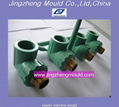 PPR Pipe Fitting Mould 4
