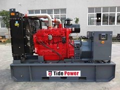 Tide Power Brand genset chinese engine