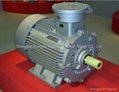 Explosion-proof Three Phase Asynchronous Motor 2