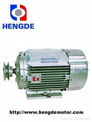 Explosion-proof Three Phases Asynchronous Motor For Petrol Filling Machine