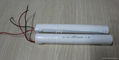 nicd  rechargeable  battery  1