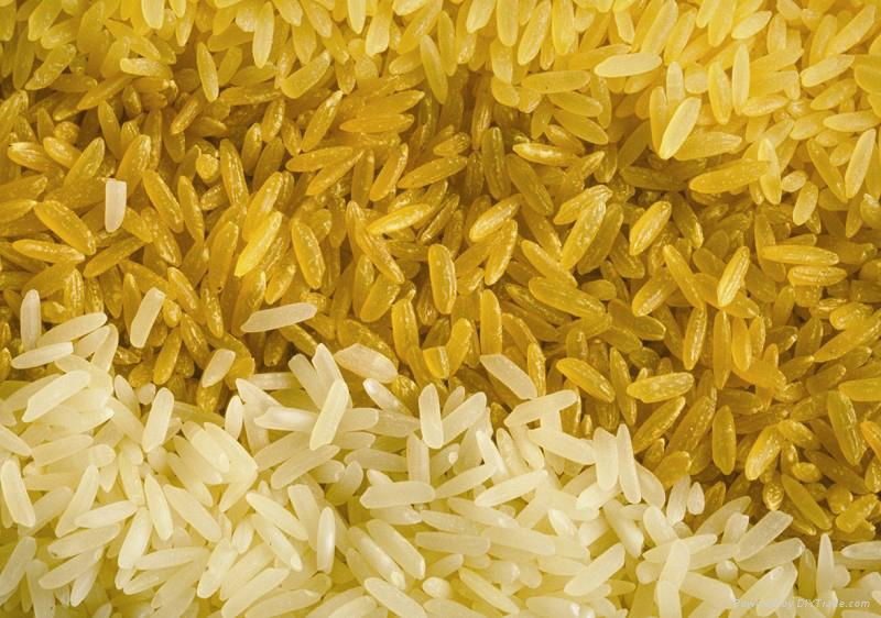 rice color sorter machine 2