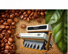 coffee beans color sorter machine