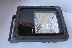 Green Lighting 30W LED Flood Lighting