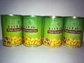 Tinned Sweet Corn/Tinned Food/Canned