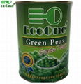 Canned Green Peas/Canned Vegetables