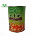 Canned White Kidney Beans in Tomato