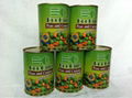 Canned Mixed Vegetables/Canned