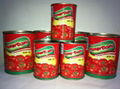 Canned Tomato Paste/Tinned Tomato Paste 1