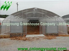 Tunnel Greenhouse