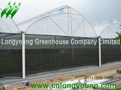  Saw Tooth Greenhouse 