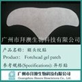 2013 Chinese herbal product for relieving aging, anti-aging patch