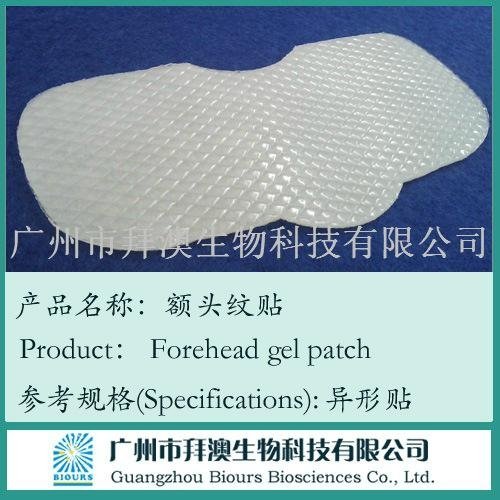 2013 Chinese herbal product for relieving aging, anti-aging patch 2