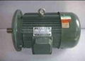 Vertical motor 1