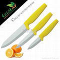 Three-piece ceramic cutting tool 3