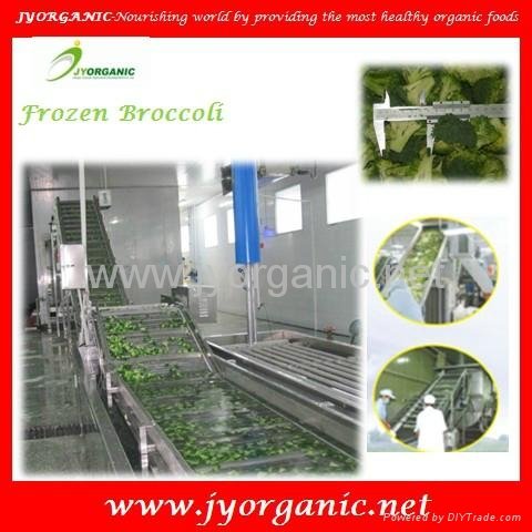 Frozen broccoli 5
