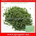 Freeze dried chive 1