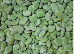 IQF broad beans