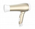 hair dryer 1