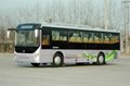 Zhongtong long city bus LCK6125GC 11m 4