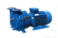 2BVstyp water ring pump