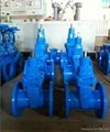 Cast Iron No-rising BS Resilient seated gate valve