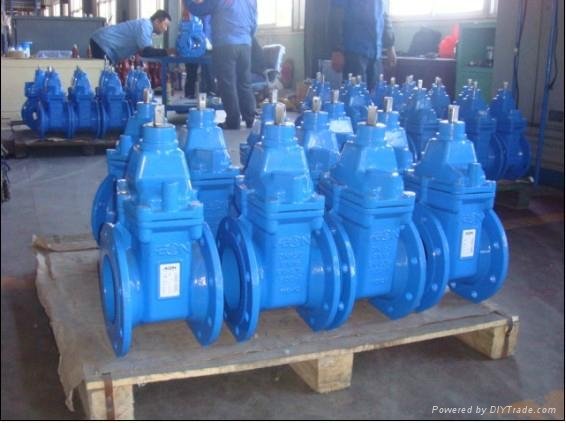 Cast Iron No-rising BS Resilient seated gate valve 4