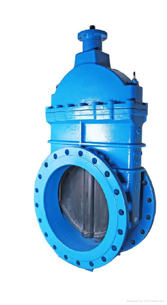 Cast Iron No-rising BS Resilient seated gate valve 5