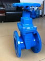 DIN F4 F5 Resilient seated gate valve