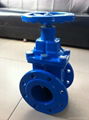 DIN F4 F5 Resilient seated gate valve 3