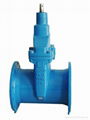 DIN F4 F5 Resilient seated gate valve 4