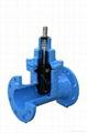 DIN F4 F5 Resilient seated gate valve 5