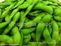Frozen vegetable-Frozen Green Soybean