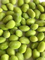 Frozen vegetable-Frozen Green Soybean Kernel 1