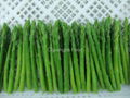 Frozen vegetable-Frozen Green Asparagus