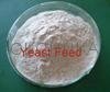 Brewers Yeast for animal feed use