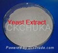 Bakery Yeast Extract for food flavor enhancer