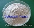 Yeast Selenium 2000ppm