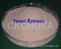 Yeast Extract as MSG Replacer