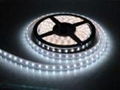 SMD3528 LED Strip Light 1