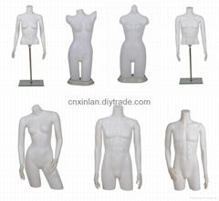 Xinlan plastic mannequins torso