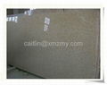 Desert gold granite G350 1