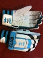 cricket gloves 2