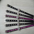 Singel Row Rhinestones Dog Collar 4