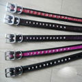 Dog collar with diamond decoration