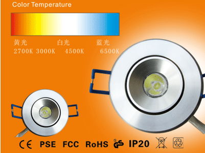 LED Ceiling Light