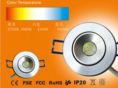 LED Ceiling Light