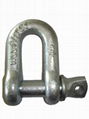 D shackle 1